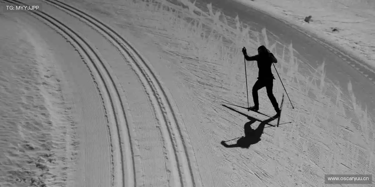 🚴 速度激情，赛道争锋！🏆